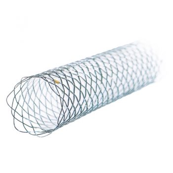 Biliary Duct Stents - MICRO-TECH EUROPE