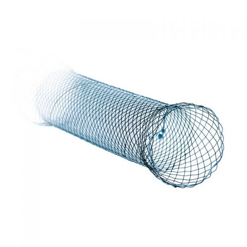 Nitinol Stents - MICRO-TECH EUROPE