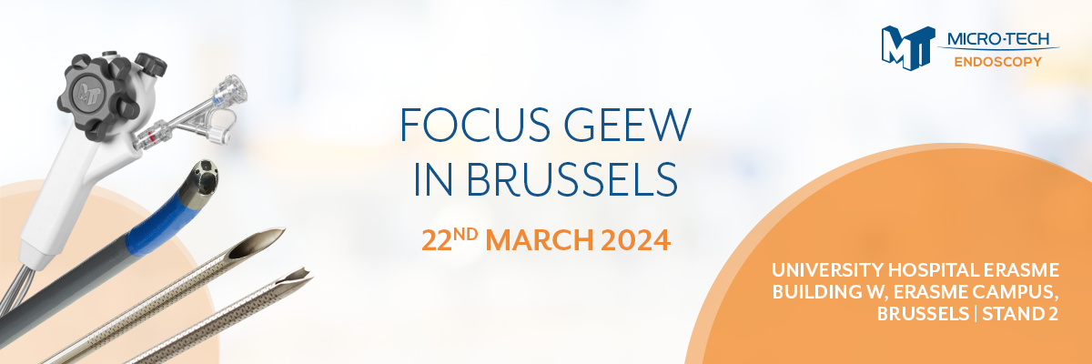 Focus Geew in Brussels