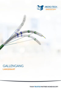 Gallengang Langdraht Katalog Title Bild